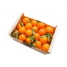 Oranges bio à jus  colis de 2kg
